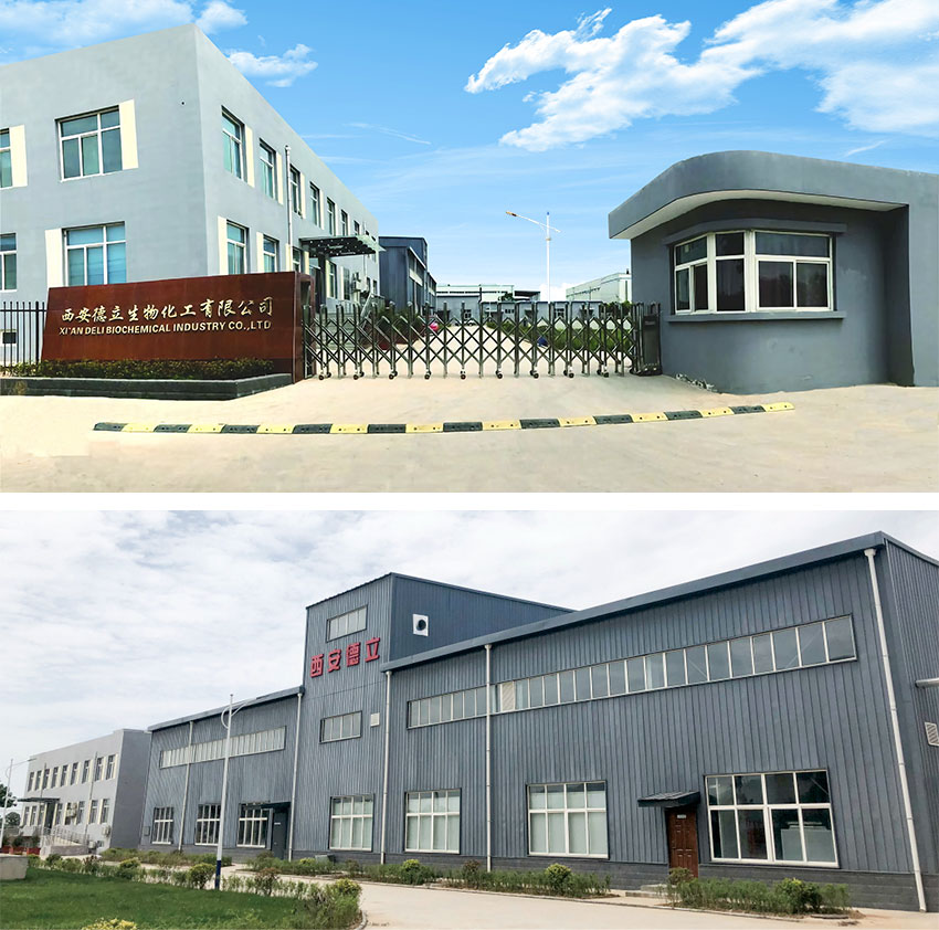 Xi'an डेली बायोकेमिकल इंडस्ट्री कं, लिमिटेड।: साइक्लोडेक्सट्रिन डेरिवेटिव्स में अग्रणी नवाचार, दवा उद्योग को सशक्त बनाना